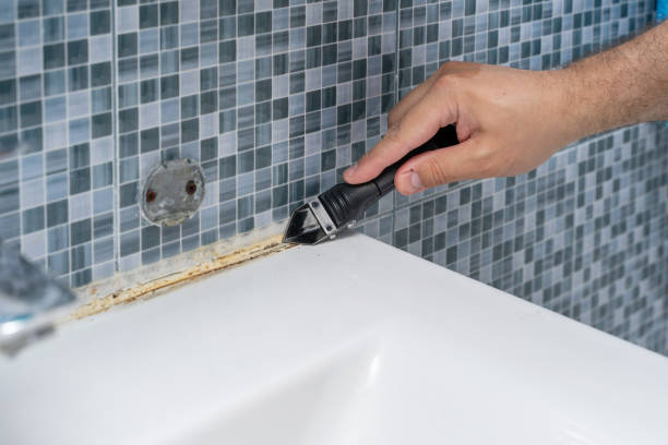 Mold Removal and Inspection in Clemmons, NC