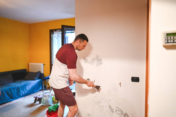 Office Mold Removal Services in Clemmons, NC